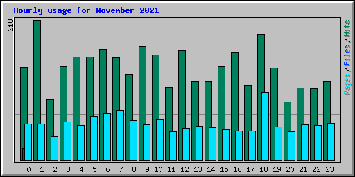 Hourly usage for November 2021