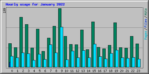 Hourly usage for January 2022